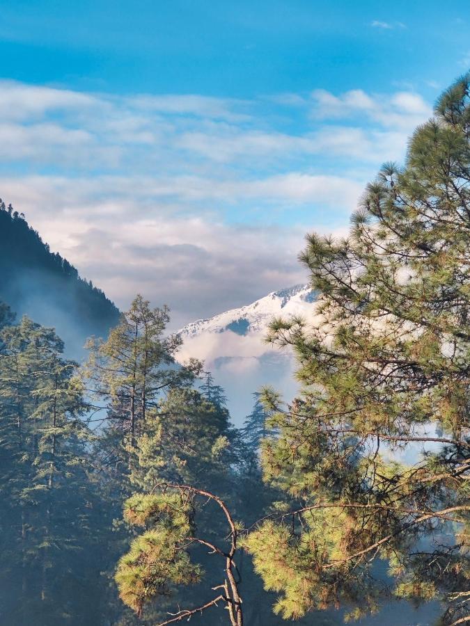 Free Culture, Chalal Bed and Breakfast Kasol Esterno foto